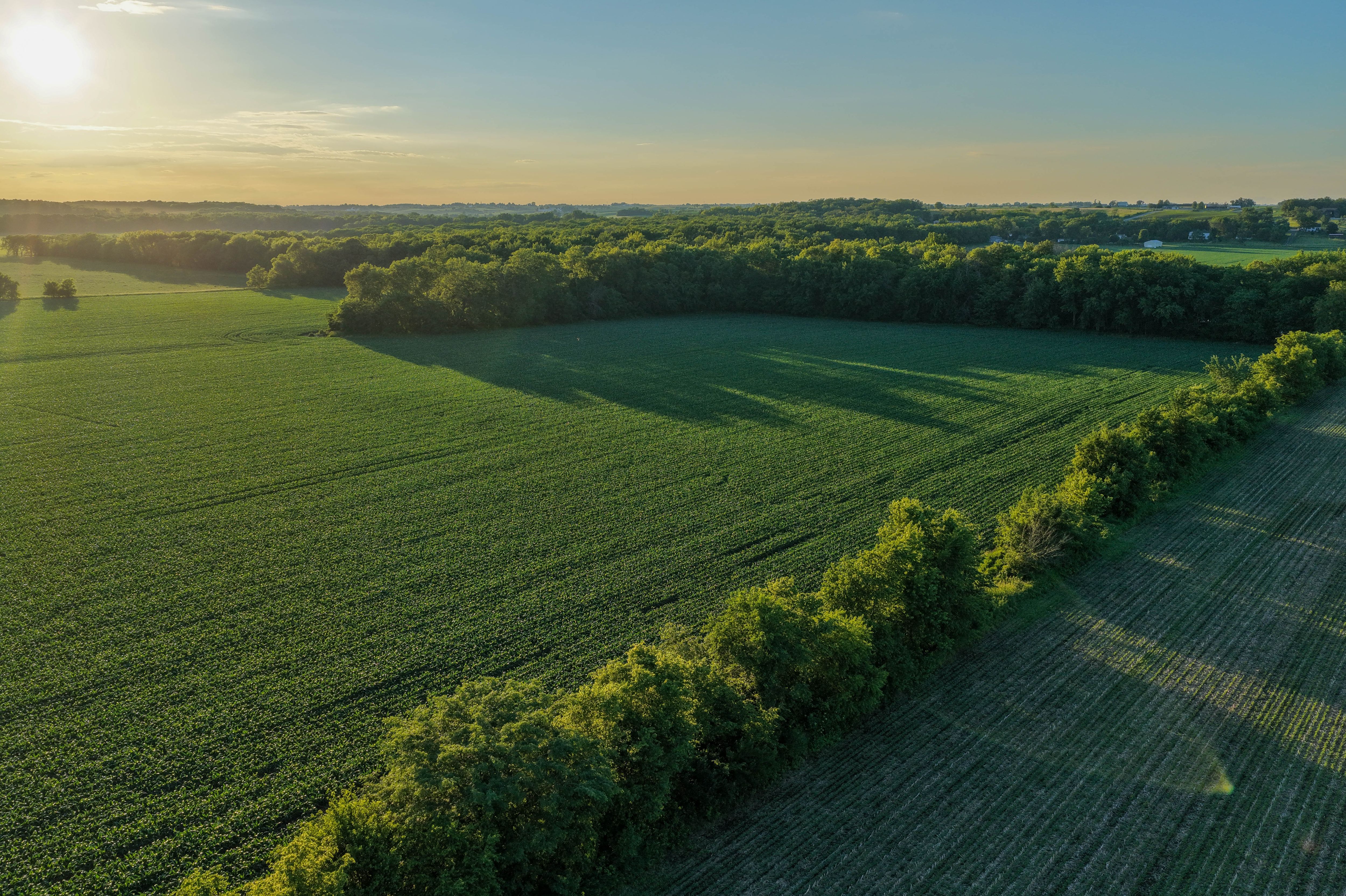 Listing Photo: Hard Surface road plus 40 acre Building Site Johnson County Iowa-16